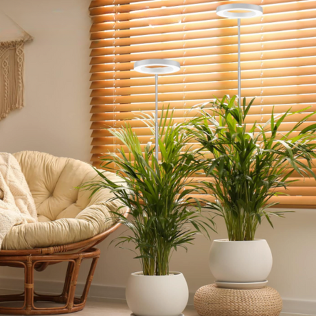 Höjdjusterbar växtlampa med ljusstyrkekontroll Carvallo