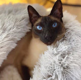 Carvallo - Bekväm husdjurssäng Carvallo