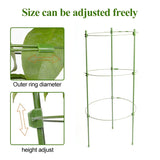 Klatram för växter – Stabil stödjeringram för klätterväxter Carvallo