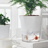 AquaPlanter - Smart Blomkruka och Miniakvarium i Ett Carvallo