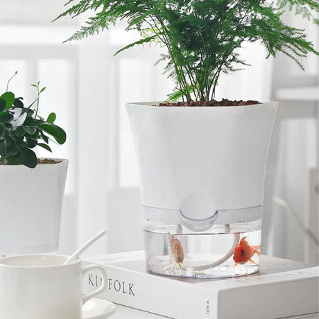 AquaPlanter - Smart Blomkruka och Miniakvarium i Ett Carvallo