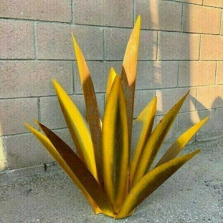 Anti-rost Metall Tequila Agave Växt Carvallo
