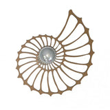 ShellShine - Skalmotiv vägglampa med mjukt ljus Carvallo