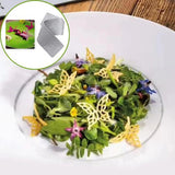 Carvallo – För tallrikar som berättar historier! Carvallo