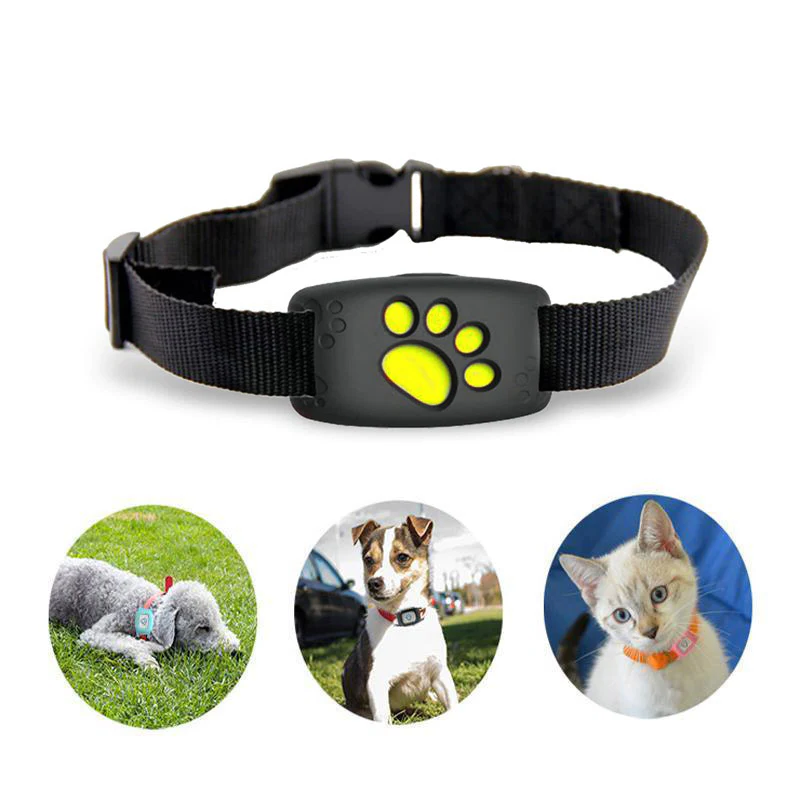 Pet GPS Tracker Halsband för Hundar och Katter Carvallo