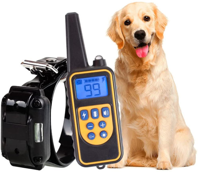 800M Uppladdningsbar Elektrisk Hund Träningshalsband Carvallo