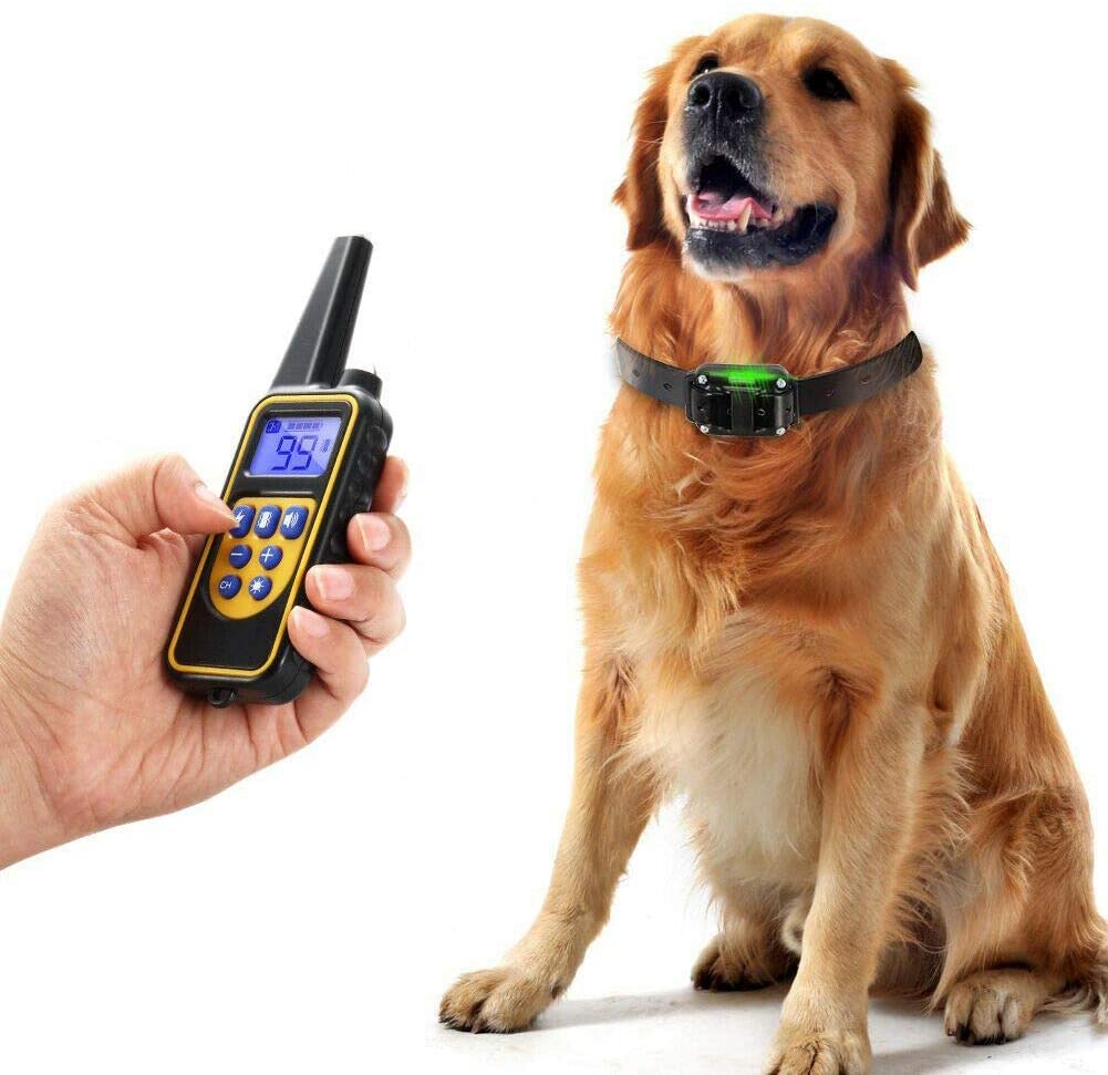800M Uppladdningsbar Elektrisk Hund Träningshalsband Carvallo