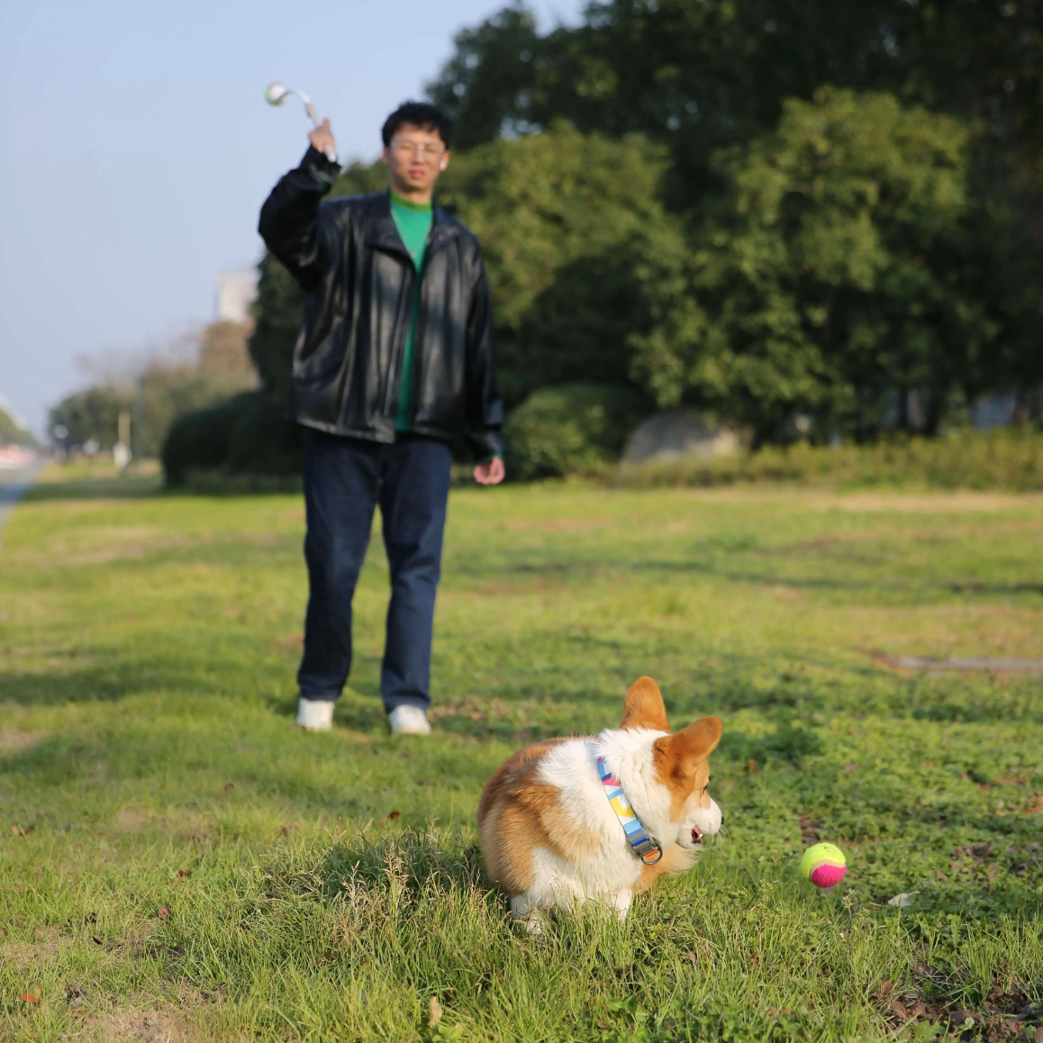 Hund Bollkastare-Hemnix-Hemnix