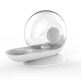 Pet Vatten Fontän Tyst Plast Skål Dispenser Carvallo