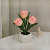 LED Bordslampa Blomkruka Lampa Dekor Carvallo