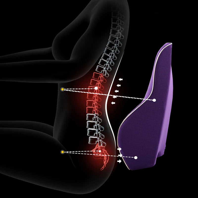 Ergonomisk ländryggsstödskudde Carvallo
