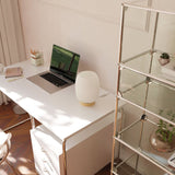 Prismara Bordsbelysning Carvallo