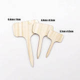 Carvallo – Växtskyltar av bambu för trädgård & dekoration Carvallo