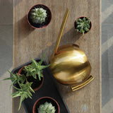 PlantFlow – Slim sfärisk vattenkanna perfekt för känsliga växter Carvallo