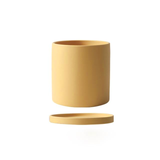 Royaleva All The Bright Colors Planter with Saucer Set Carvallo