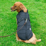 WoofGuard™ - Vattentät vinterjacka med integrerad sele Carvallo