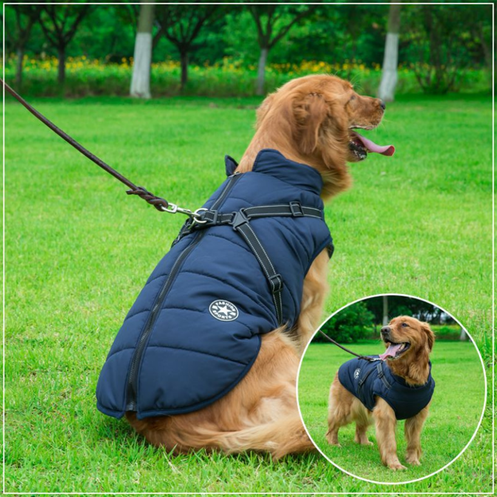 WoofGuard™ - Vattentät vinterjacka med integrerad sele Carvallo