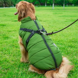 WoofGuard™ - Vattentät vinterjacka med integrerad sele Carvallo
