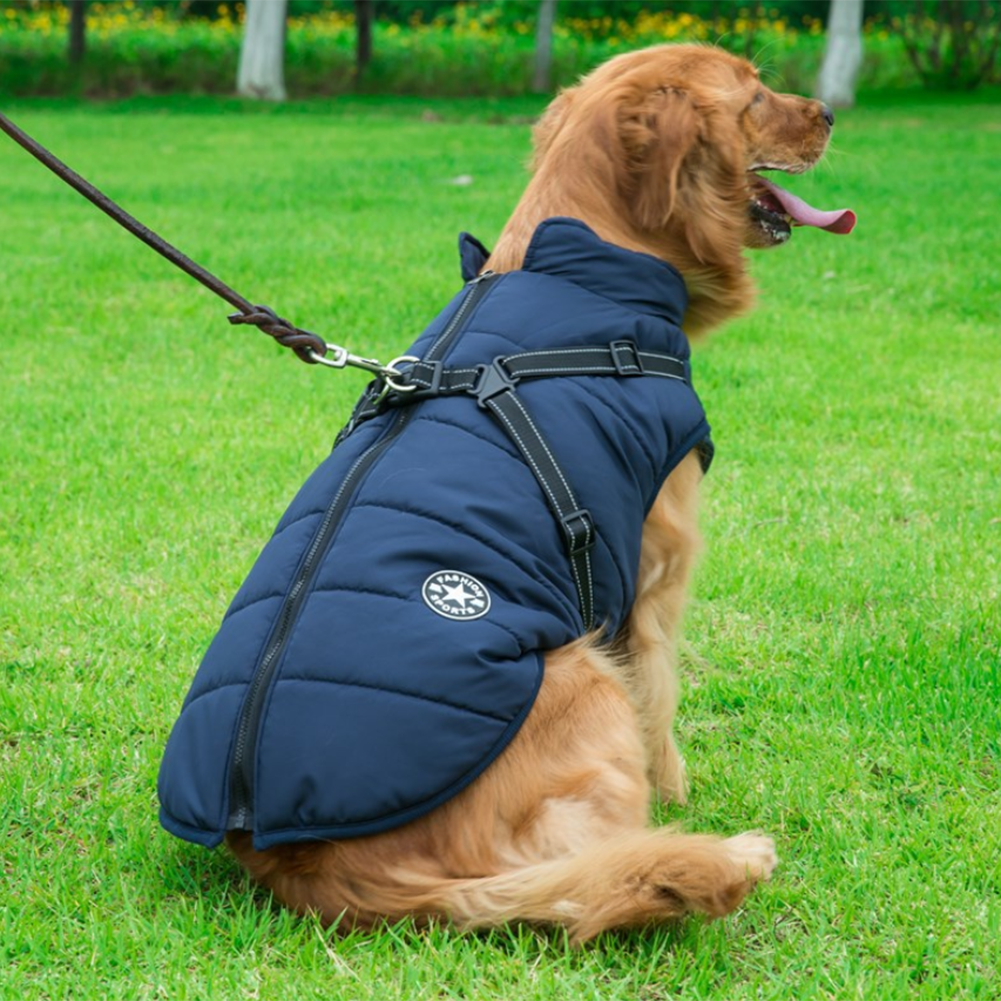 WoofGuard™ - Vattentät vinterjacka med integrerad sele Carvallo