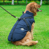 WoofGuard™ - Vattentät vinterjacka med integrerad sele Carvallo