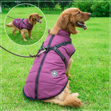 WoofGuard™ - Vattentät vinterjacka med integrerad sele Carvallo