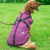WoofGuard™ - Vattentät vinterjacka med integrerad sele Carvallo