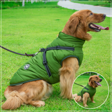 WoofGuard™ - Vattentät vinterjacka med integrerad sele Carvallo