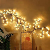 Fairy Vine Lights med LED-lampor – Mysig atmosfärbelysning Carvallo
