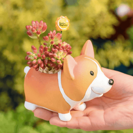 PlantCharm – Harpiks Corgi Mini-blomkruka för hundar till finurliga växtutställningar Carvallo