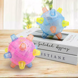 Carvallo | BounceBuddy – Den interaktiva hoppbollen för hundar! Carvallo