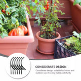 Klattersupport för växter – Robust hållare med burdesign för tillväxt och stabilitet Carvallo