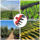 Ogräsavlägsnare huvudfäste – Effektivt gräsmattevårdsverktyg för att ta bort ogräs Carvallo