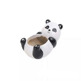 Djuriska växthus – Roliga djurdesigner för suckulenter och kaktusar Carvallo