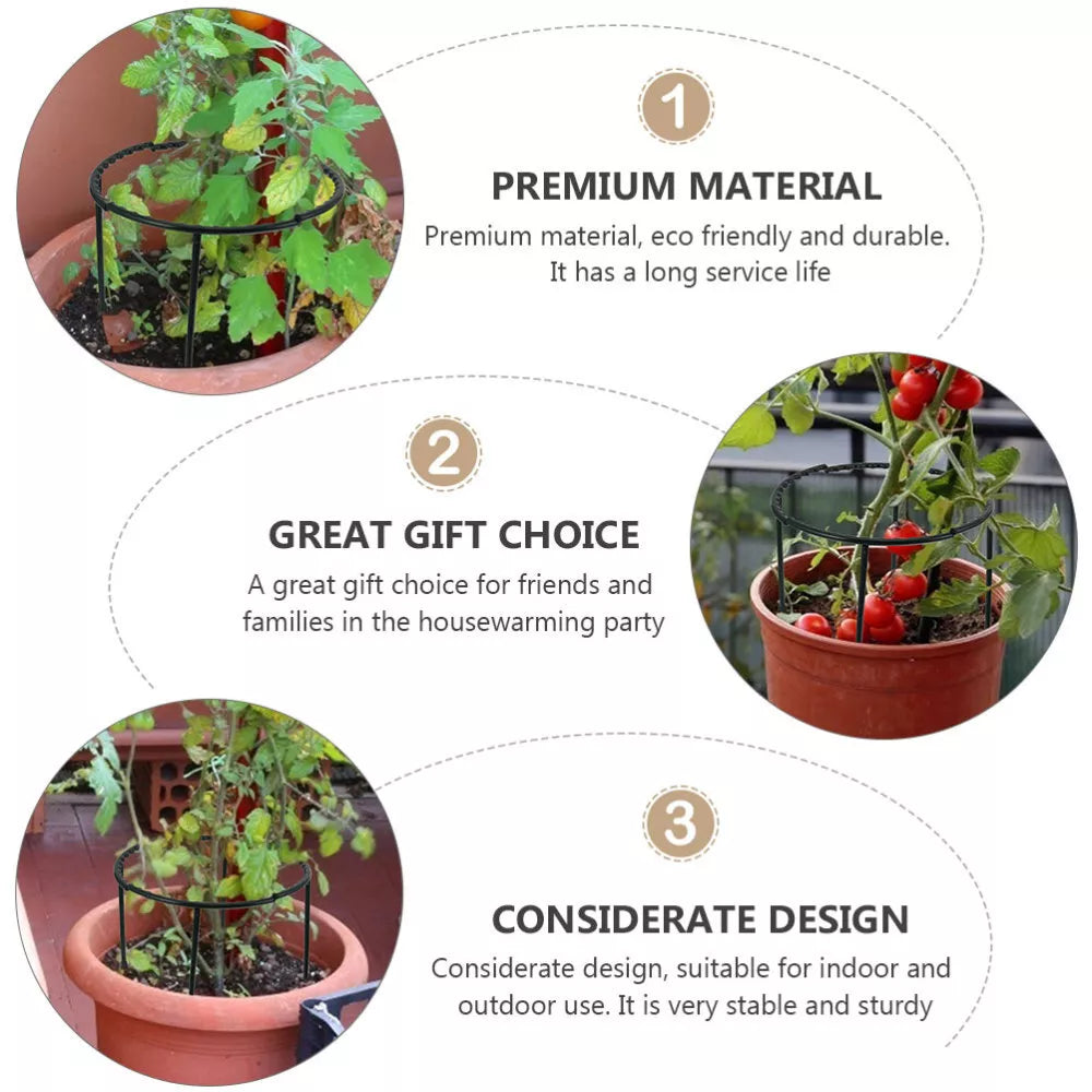 Klattersupport för växter – Robust hållare med burdesign för tillväxt och stabilitet Carvallo