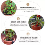 Klattersupport för växter – Robust hållare med burdesign för tillväxt och stabilitet Carvallo