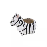 Djuriska växthus – Roliga djurdesigner för suckulenter och kaktusar Carvallo