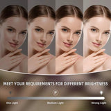 LED Hollywood Makeup Spegel med Dimmbar LED-lampa Carvallo