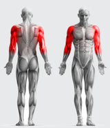 Royaleva Sport Elastics Set för Hemträning Carvallo