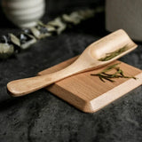 Sex Dela Valnöt Underlägg Set - Miljövänlig Trästil Carvallo