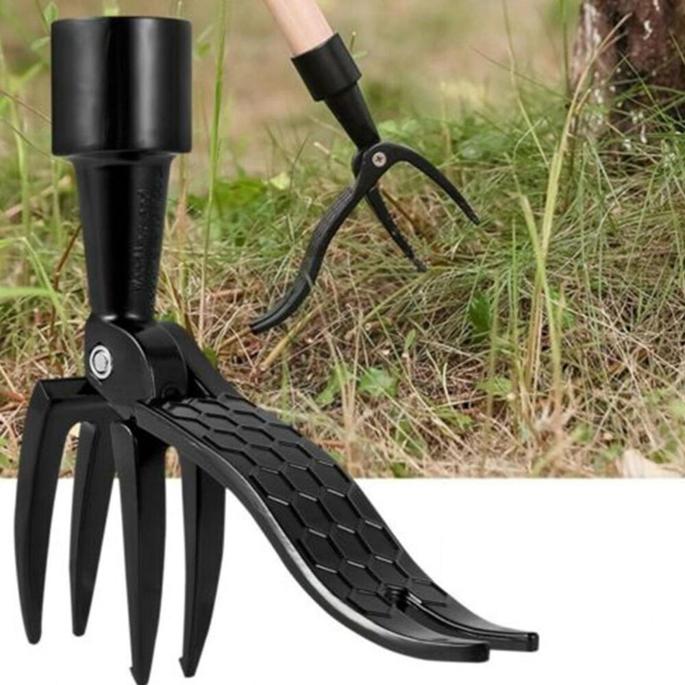 Carvallo - förstklassig rotutdragare för enkel ogräsbekämpning Carvallo