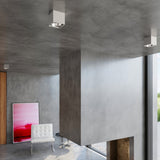 Taklampa Blake Grå - Modern BLAKE Spot Taklampa - Minimalistisk Design - Lätt Ytmontering - Kompatibel med GU10 Lampor Carvallo