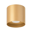MIKA Taklampa Guld - Minimalistisk Design - Anpassningsbar Lampa - Modern och Mångsidig - Högkvalitativ Polsk Produktion - Elegant Cylindrisk Form Carvallo