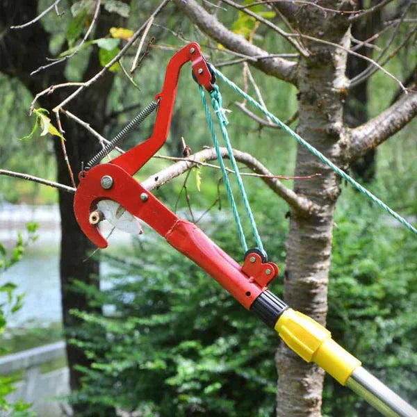 Carvallo – Risk-free cutting of high branches from the ground Carvallo