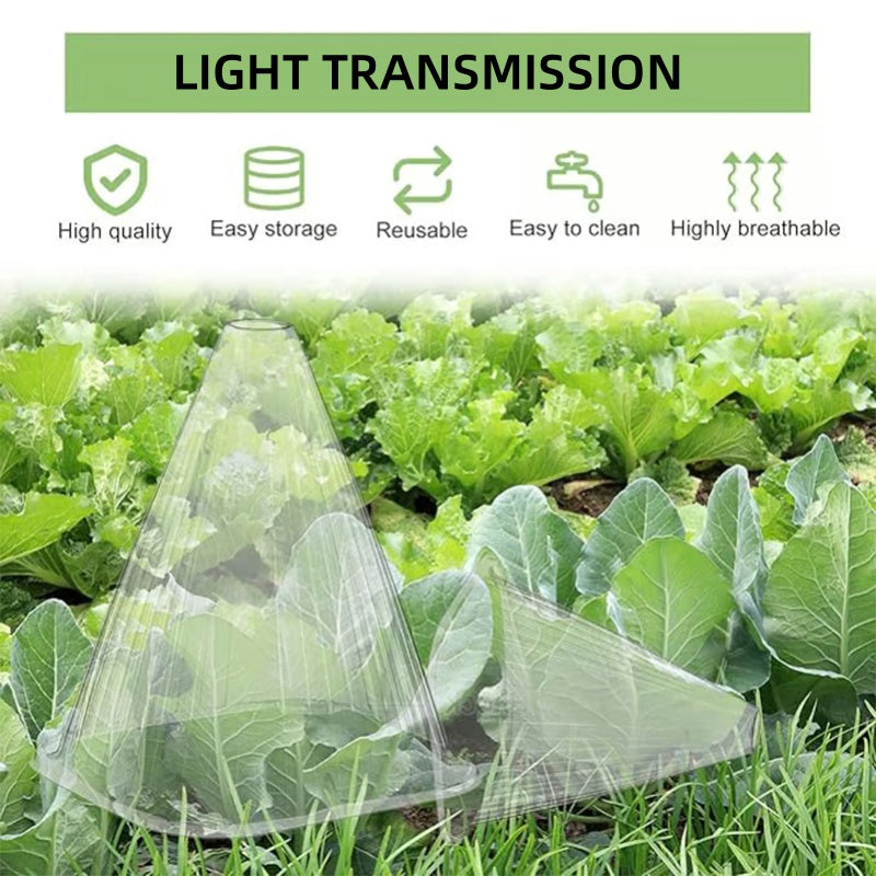 Carvallo | GrowGuard – Skydd & Värme för friska växter Carvallo