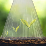 Carvallo | GrowGuard – Skydd & Värme för friska växter Carvallo