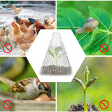 Carvallo | GrowGuard – Skydd & Värme för friska växter Carvallo