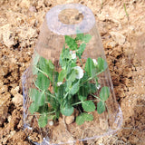 Carvallo | GrowGuard – Skydd & Värme för friska växter Carvallo