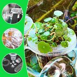 Carvallo | HydroScope – Rotövervakning gjort enkelt Carvallo