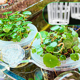 Carvallo | HydroScope – Rotövervakning gjort enkelt Carvallo