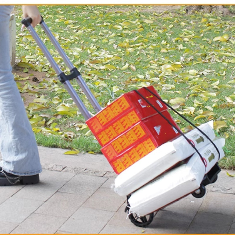 Carvallo Fold – Stark vid bärande, liten vid förvaring Carvallo